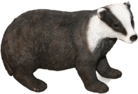 a friendly badger